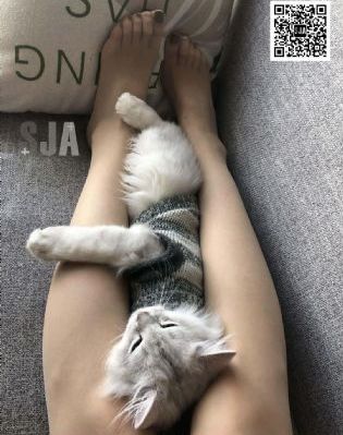 欧美嗜血兽_720日韩电影在线